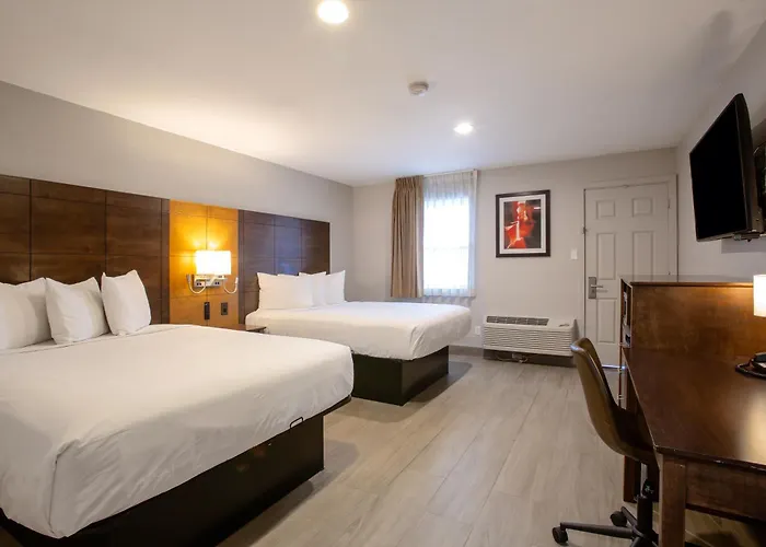 The On 66 Motel 3*